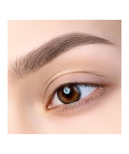 Szkolenie Henna Pudrowa - Brow Henna z Geometrią Brwi