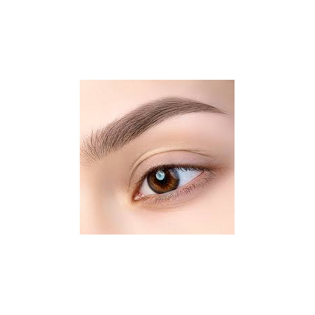 Szkolenie Henna Pudrowa - Brow Henna z Geometrią Brwi