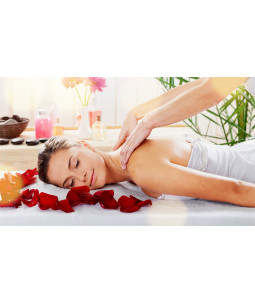 Szkolenie Masaż Twarzy Szyi i Dekoltu