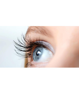 Szkolenie RZĘSY W KĘPKACH EXPRESS LASHES